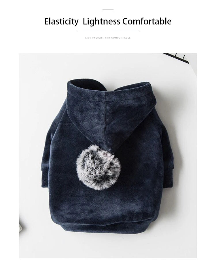 Winter Pet Hoodies