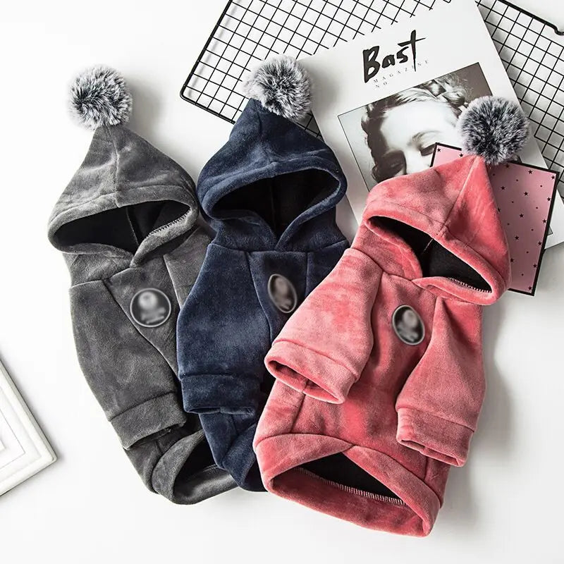 Winter Pet Hoodies