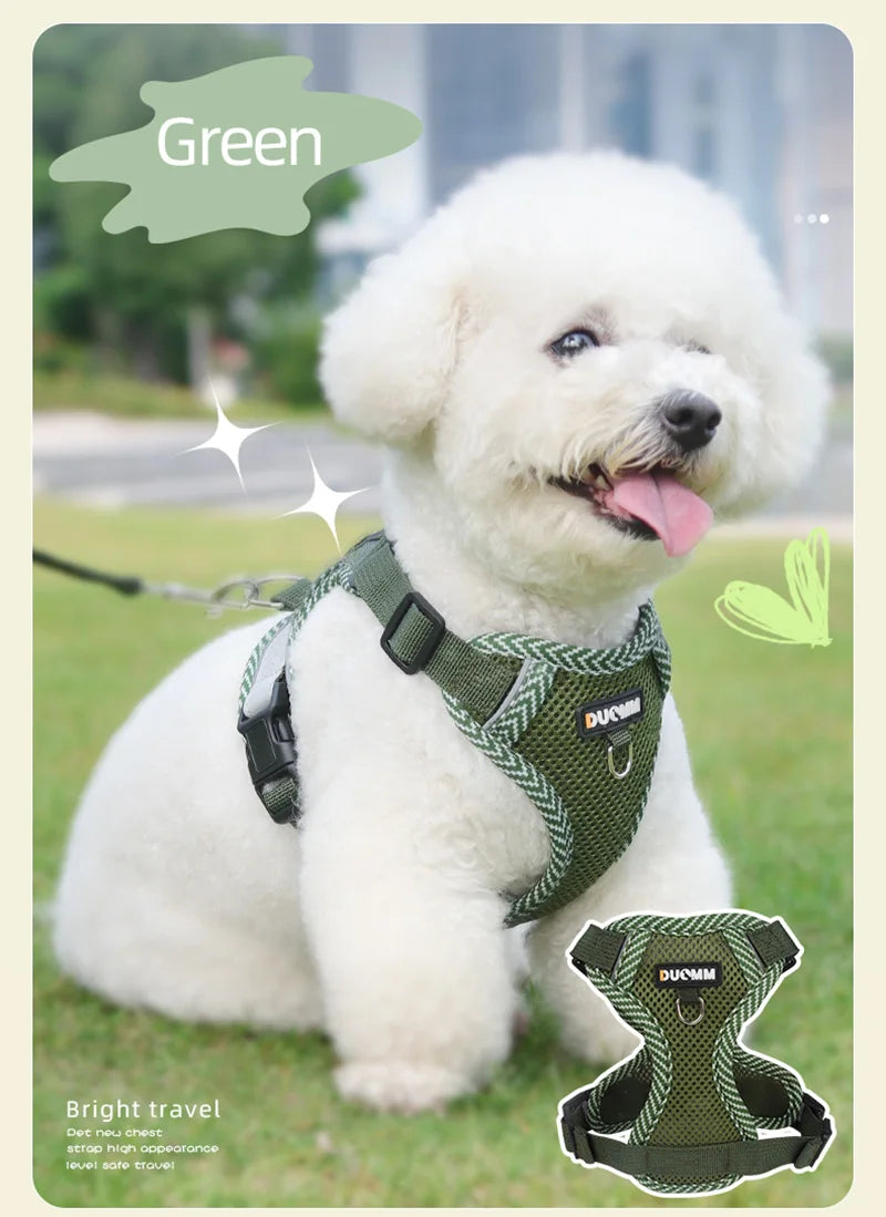 Small Dog Harness and Leash Set
