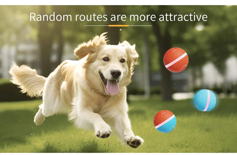 Smart USB Rechargeable Dog Chew Ball