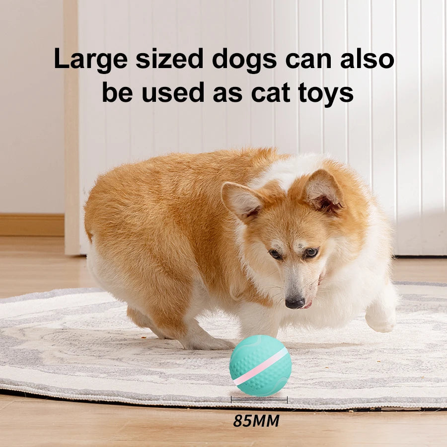 Smart USB Rechargeable Dog Chew Ball