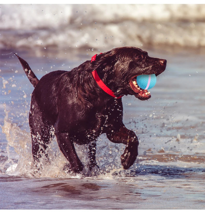 Smart USB Rechargeable Dog Chew Ball
