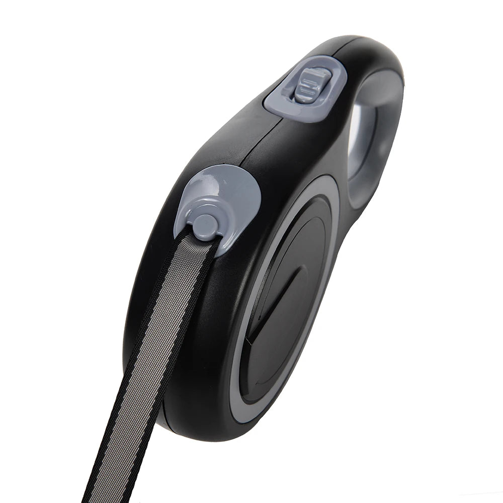 Dog Leash