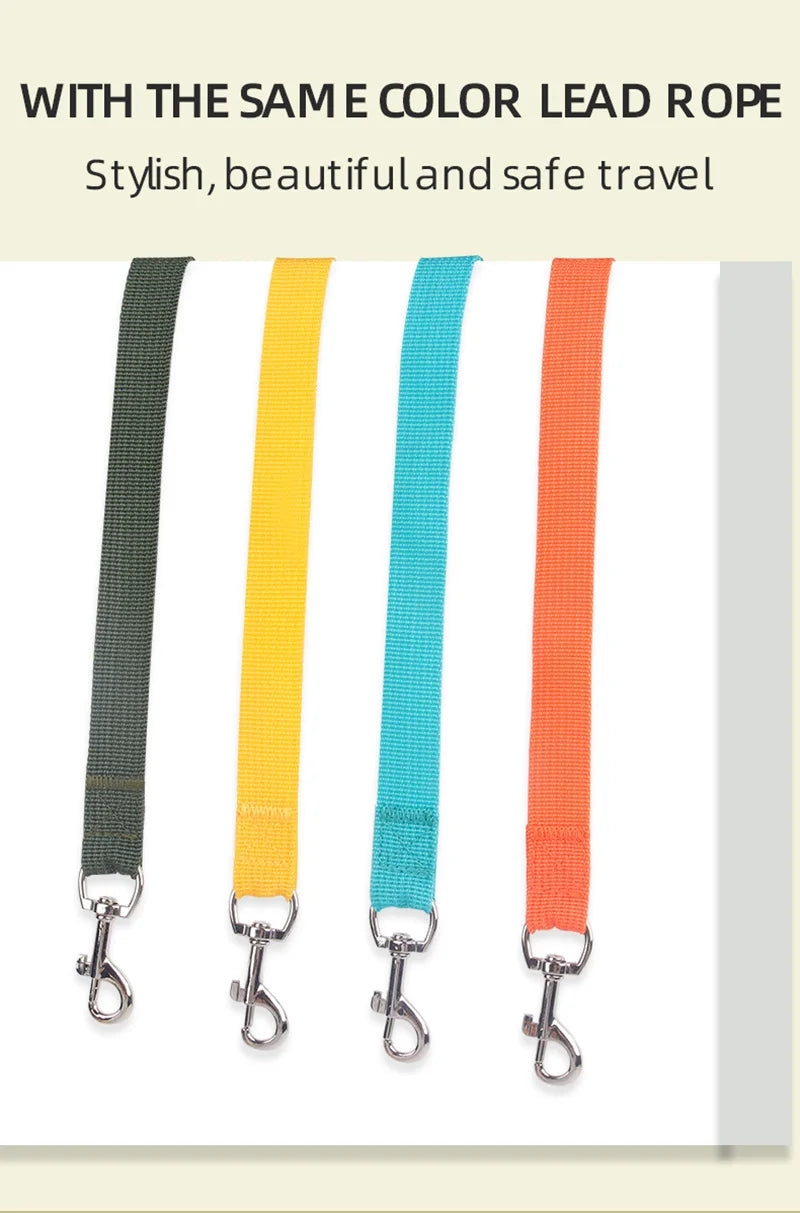 Small Dog Harness and Leash Set