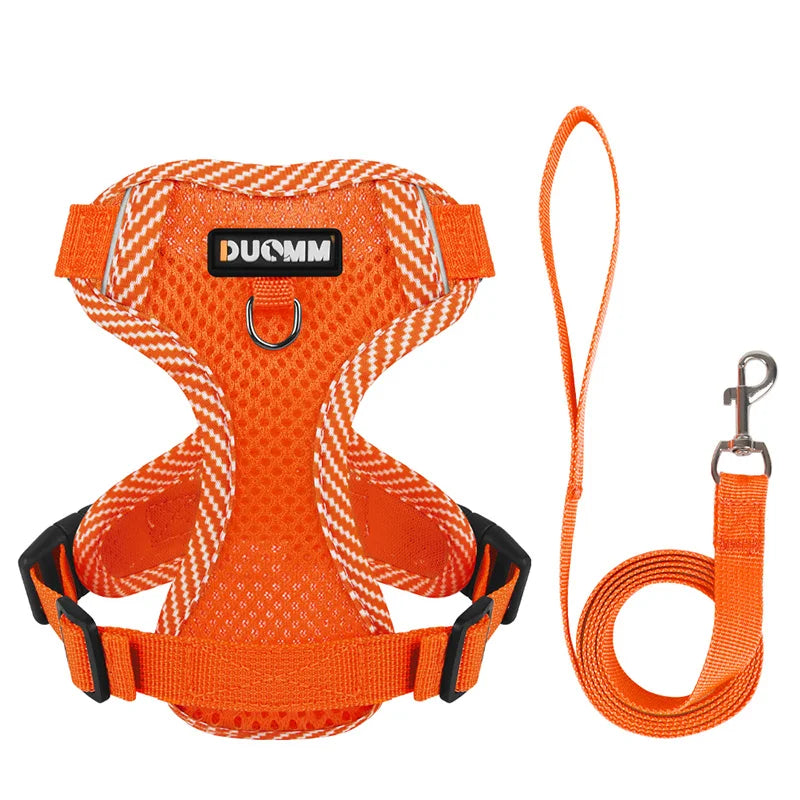Small Dog Harness and Leash Set