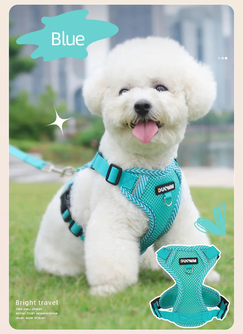Small Dog Harness and Leash Set