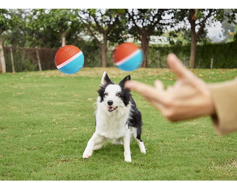 Smart USB Rechargeable Dog Chew Ball