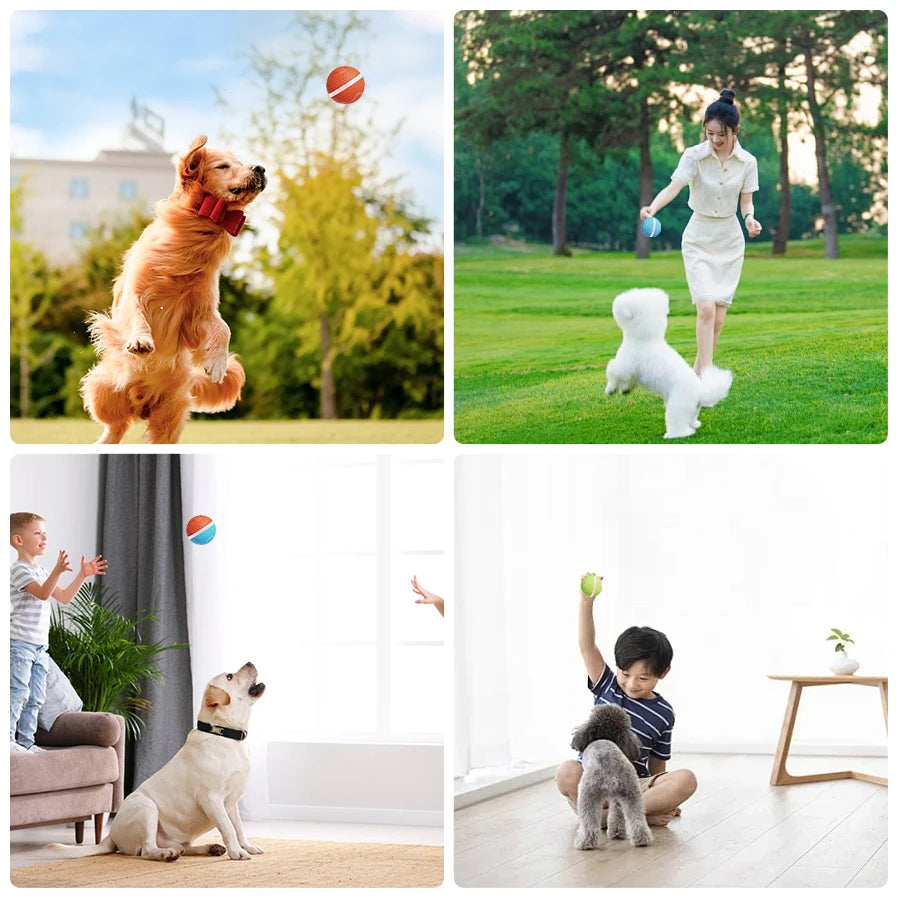 Smart USB Rechargeable Dog Chew Ball