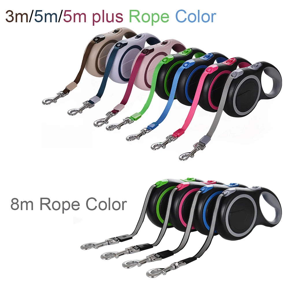 Dog Leash