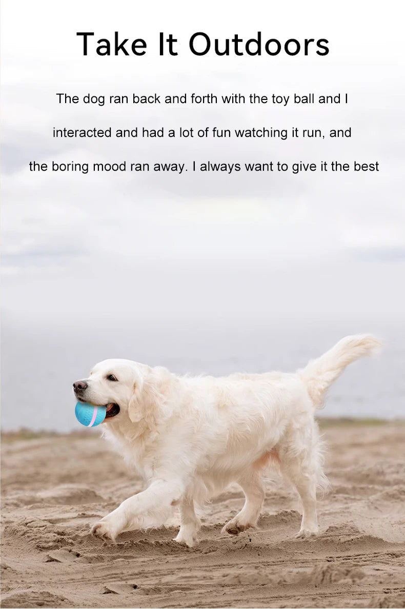 Smart USB Rechargeable Dog Chew Ball