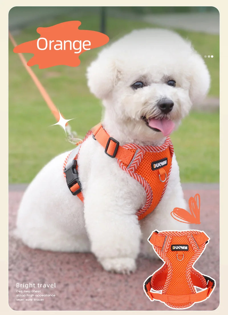 Small Dog Harness and Leash Set