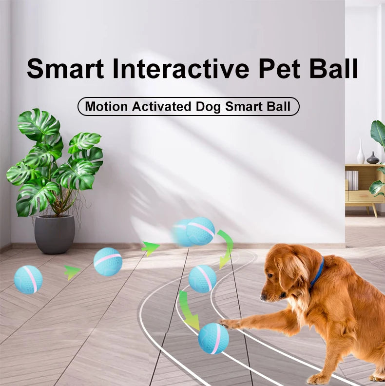Smart USB Rechargeable Dog Chew Ball