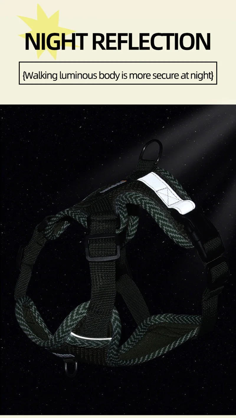 Small Dog Harness and Leash Set