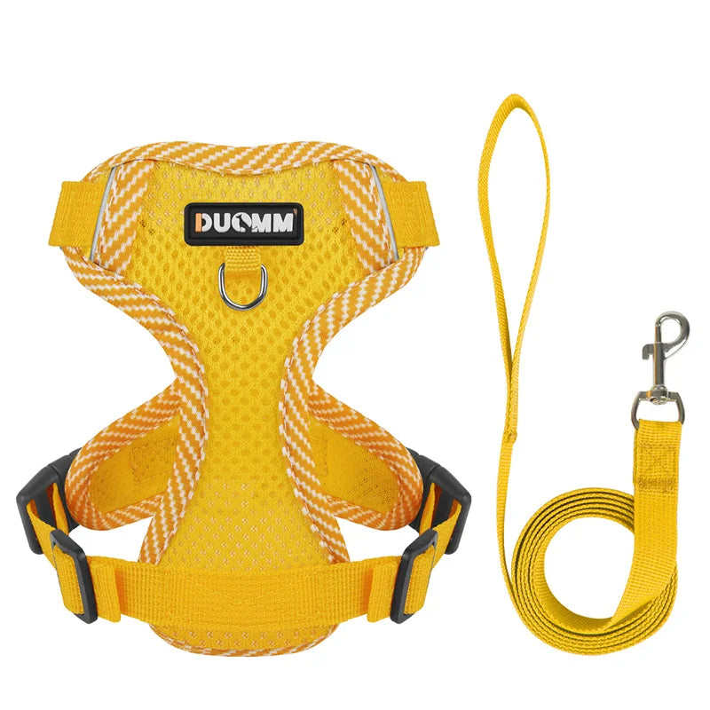 Small Dog Harness and Leash Set