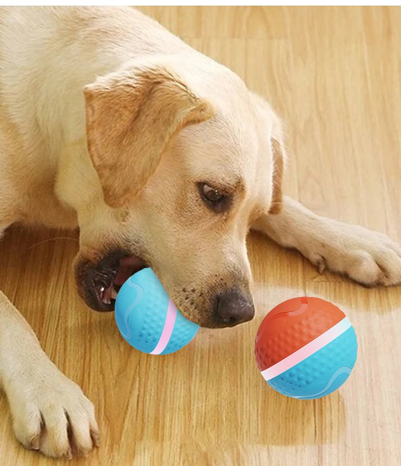 Smart USB Rechargeable Dog Chew Ball