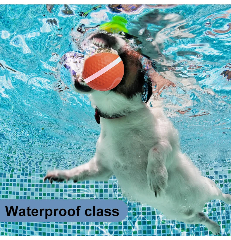 Smart USB Rechargeable Dog Chew Ball