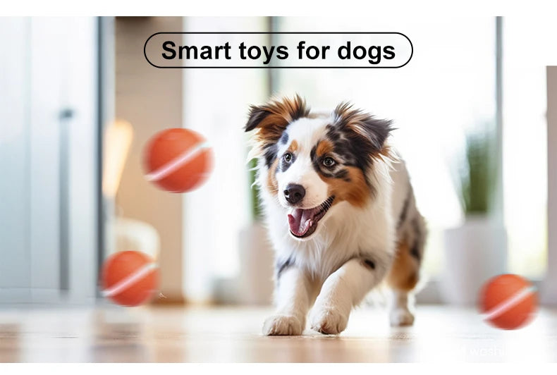 Smart USB Rechargeable Dog Chew Ball