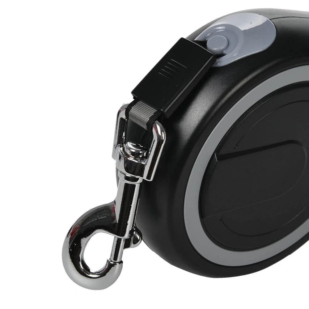 Dog Leash