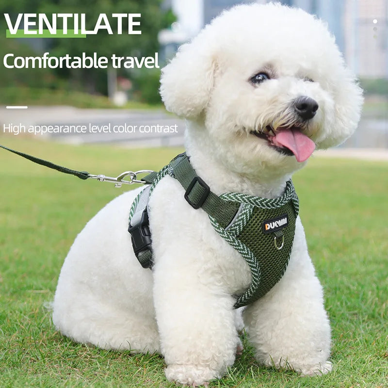 Small Dog Harness and Leash Set