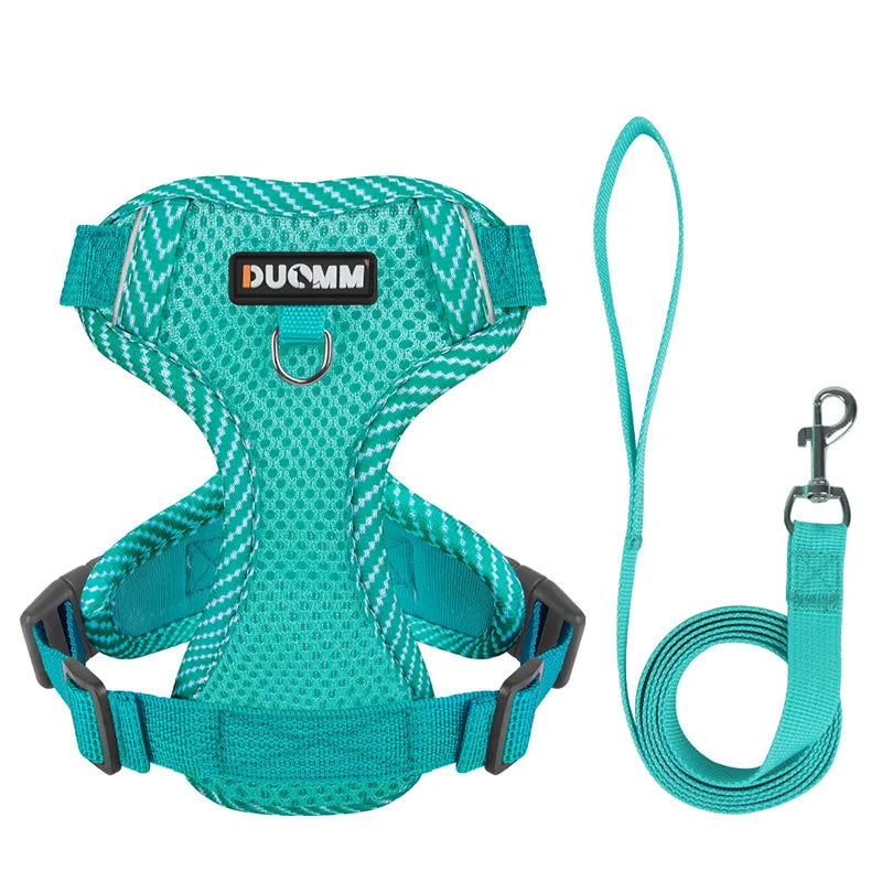 Small Dog Harness and Leash Set