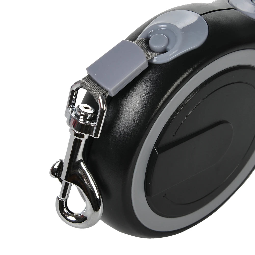 Dog Leash
