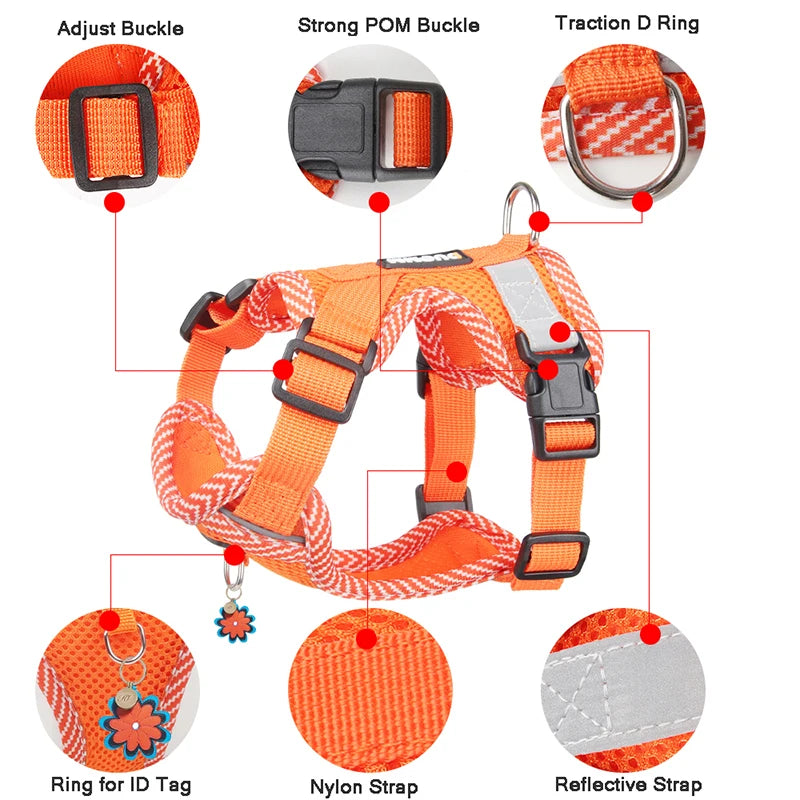 Small Dog Harness and Leash Set