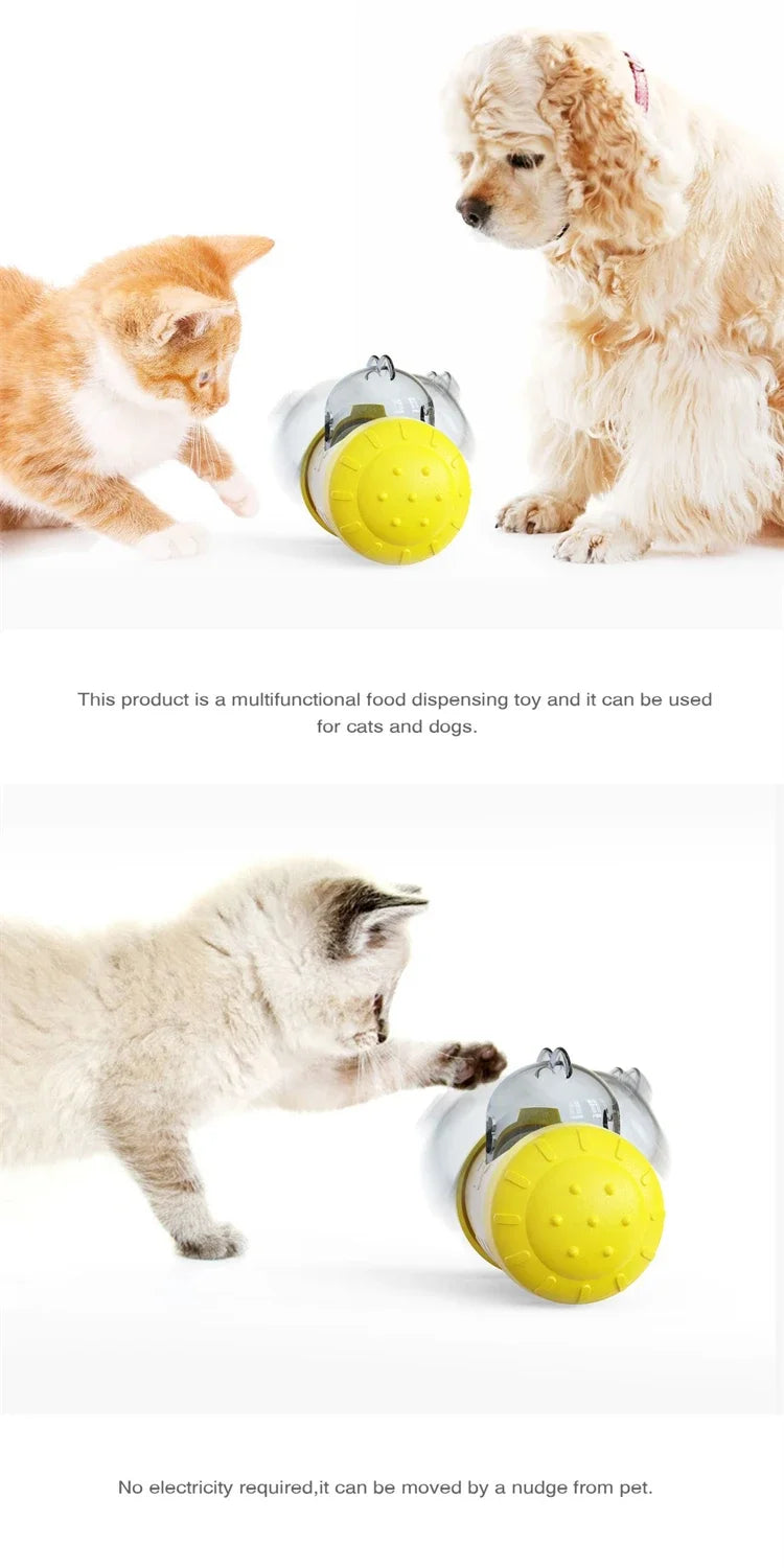 Dog Slow Feeder