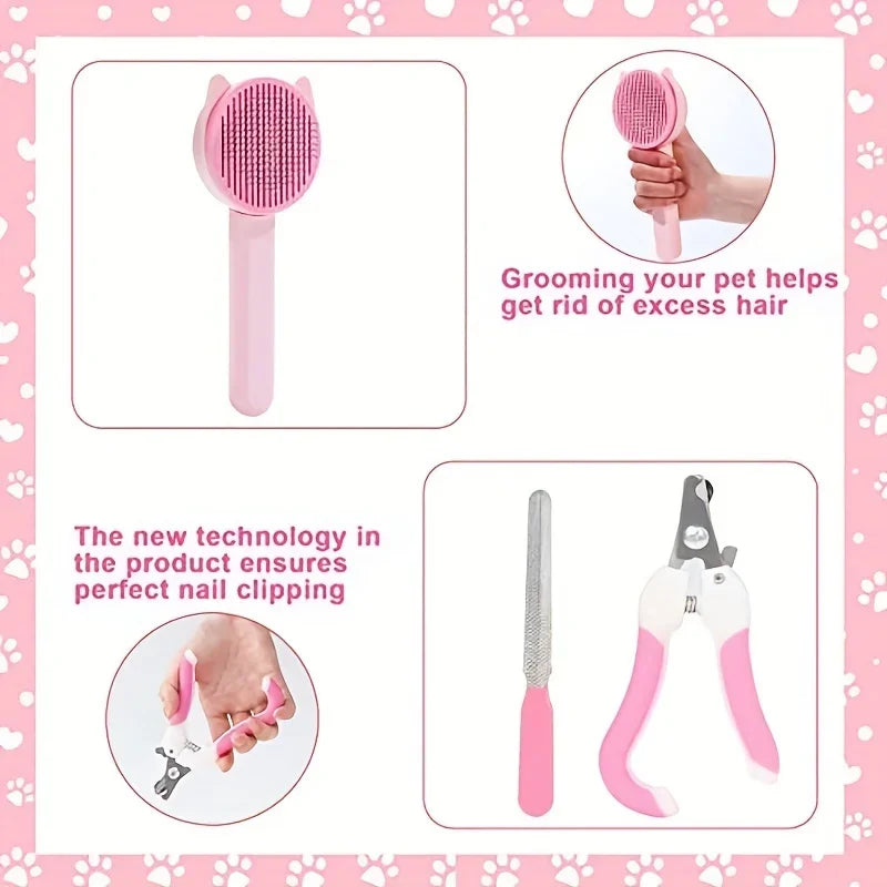 Cat Brush Beauty Kit