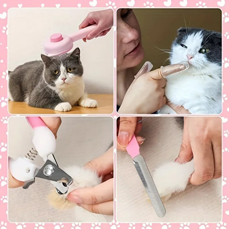 Cat Brush Beauty Kit