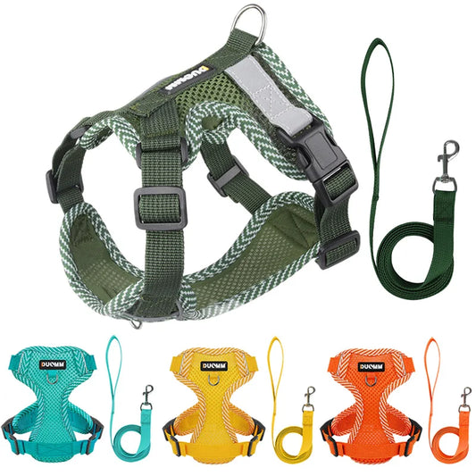 Small Dog Harness and Leash Set