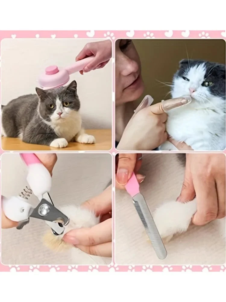 Cat Brush Beauty Kit